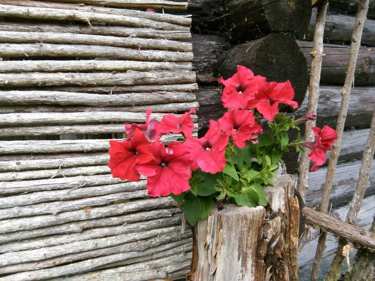 Villa Kadariku Tourism Farm Sakla Esterno foto