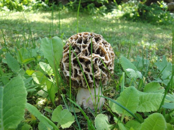 Villa Kadariku Tourism Farm Sakla Esterno foto